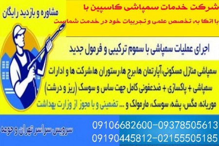 Sewage spraying of rats