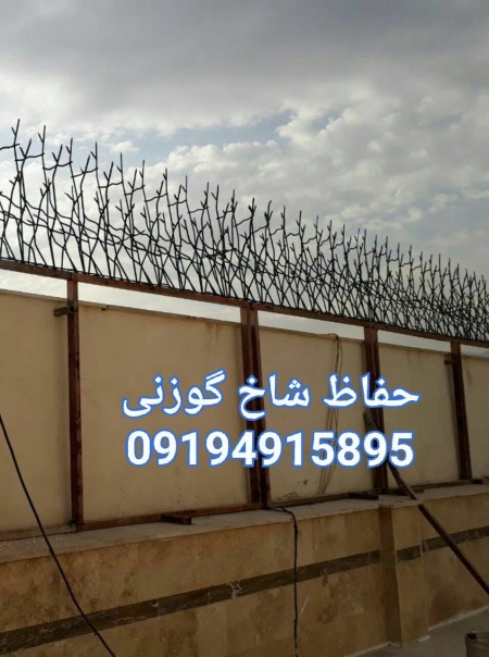 حفاظ شاخ گوزنی