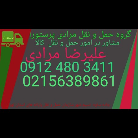 Department of Transportation Moradi