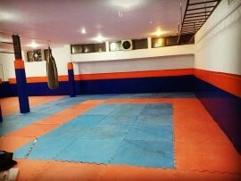 دیوارپوش فومی ضربه گیر ورزشی