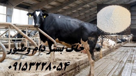 خاک بستر دام وطیور