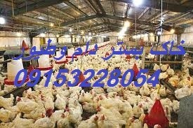 خاک بستر دام وطیور
