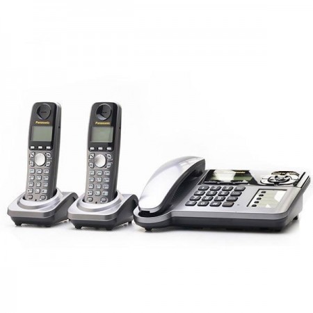 Phone Panasonic Japan model 3662
