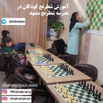 Leisure time of children in summer classes chess
