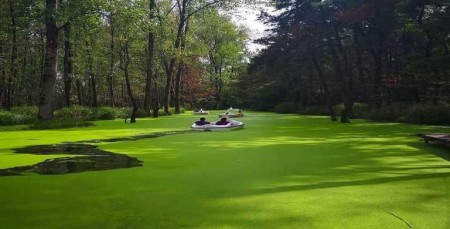 تور مرداب سراوان _ ماسوله ( یک روزه )