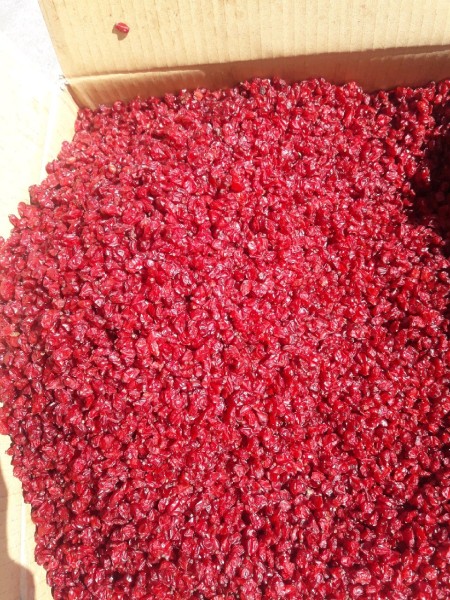 Selling a variety of Barberry, puffy and pomegranate seeds