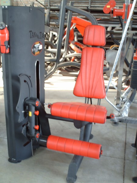 پشت پا ماشین