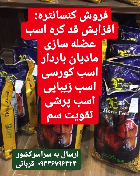 کنسانتره اسب