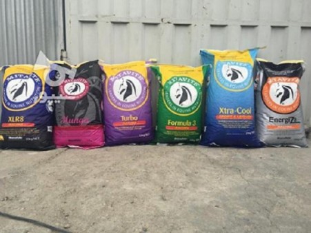 کنسانتره اسب