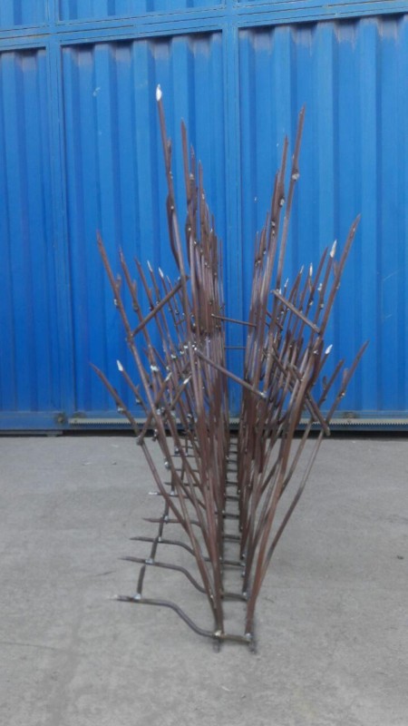 حفاظ شاخ گوزنی