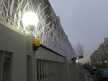 حفاظ شاخ گوزنی