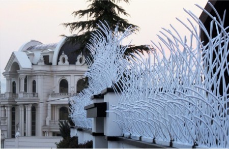 حفاظ شاخ گوزنی