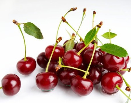 The sale of concentrate, sour cherry quality export