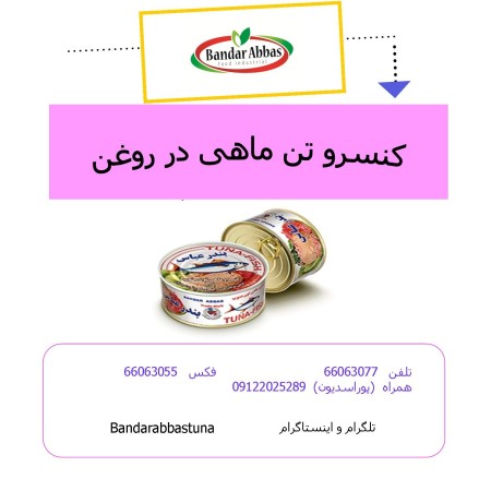 فروش عمده تن ماهی بندر عباس