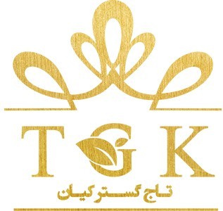 تاج گستر کیان