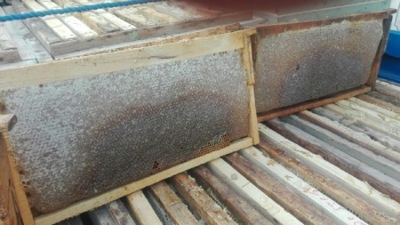 مرکز پخش عسل اهواز