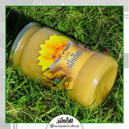 عسل سفید و درمانی هانی لند
