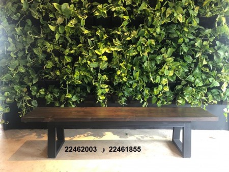 Natural and artificial green wall