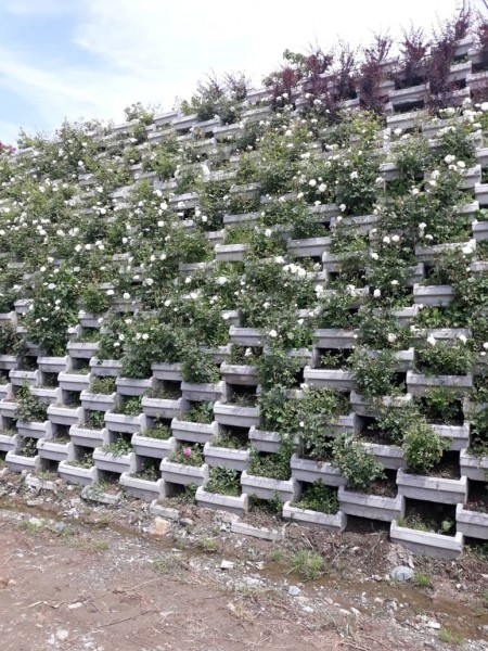 Reinforced concrete sloping pot