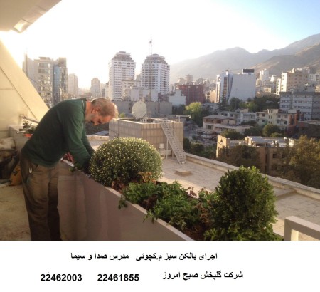 Roof Garden / Green Roof