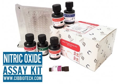 کیت نیتریک اکساید