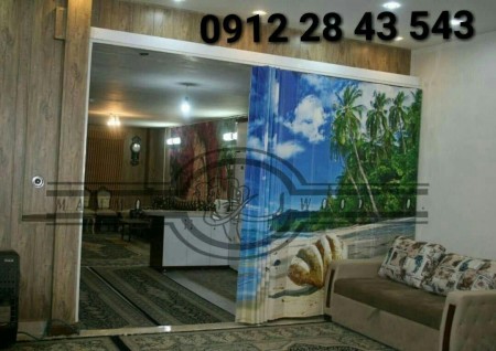 Video accordion door