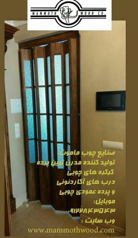 Pleica's accordion door