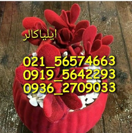 مخمل پاش چندکاربره