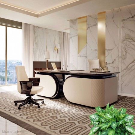 Free Capital Payment and Investment