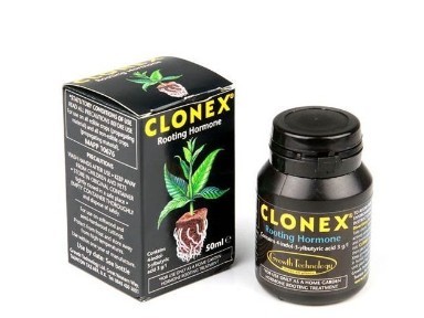 Advance Fertilizers. Growth and Flowering