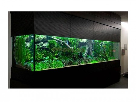Aquarium, freshwater aquarium, aquarium glass making