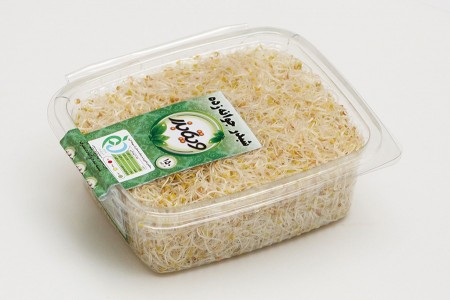 شبدر جوانه زده ویتابذر