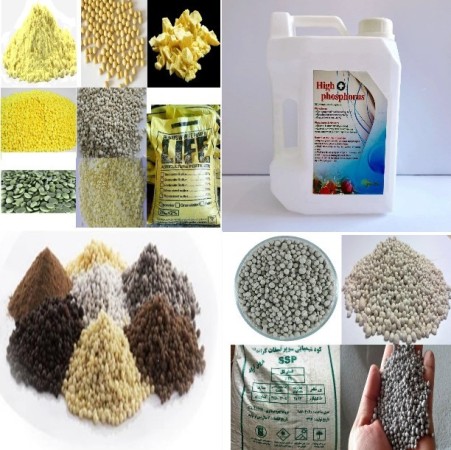 Simple superphosphate | Simple Super Phosphate | SSP