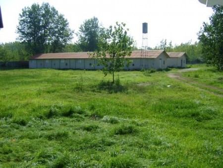 Sale of 15,000 pieces of poultry in Gilan, Langrood, Chamkhaleh