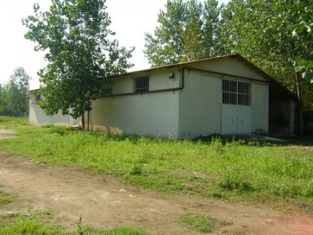 Sale of 15,000 pieces of poultry in Gilan, Langrood, Chamkhaleh