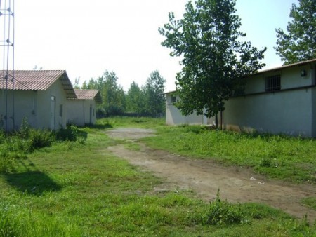 Sale of 15,000 pieces of poultry in Gilan, Langrood, Chamkhaleh