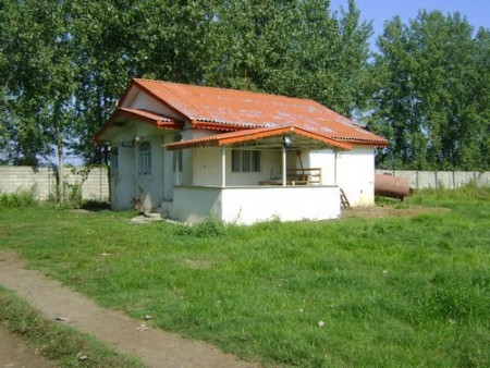 Sale of 15,000 pieces of poultry in Gilan, Langrood, Chamkhaleh