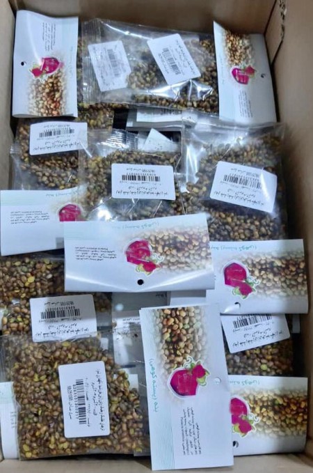 Sales, production and packaging of pistachio kernels (coriander, melancholy, sage, wild pistachio)