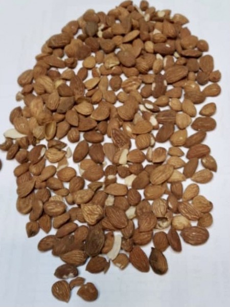 Sale, production and packaging of almond kernels (incense, bitter almonds, pasurk)