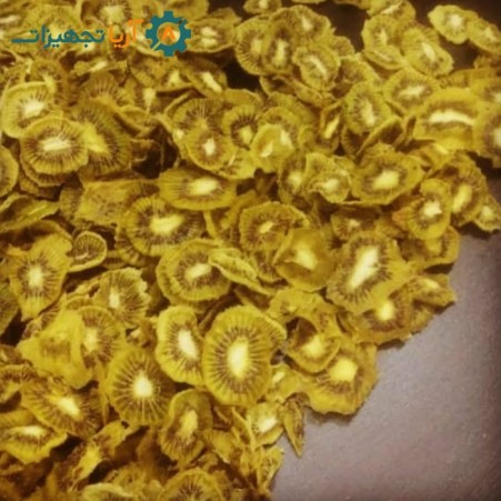 فروش دستگاه میوه و سبزی خشک کن خانگی