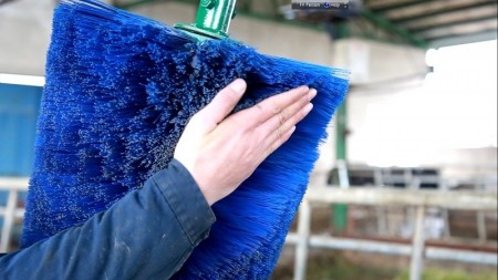 Cow Grooming Machine