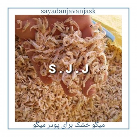 خرید پودر میگو ، پودر ماهی ، ماهی خشک