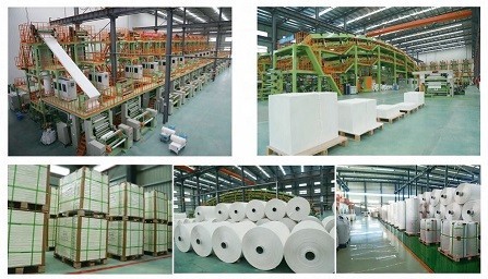 Stone paper production line