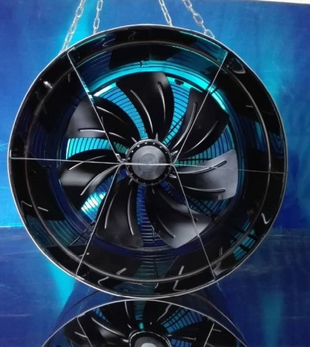 فن سیرکوله هوا