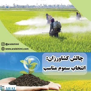 Special disinfectant for agriculture and greenhouse peroxide-agrosib