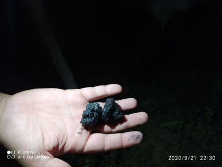 Production of truffle black mushrooms and sale of truffle black mushrooms