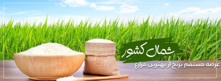 فروش برنج شمال