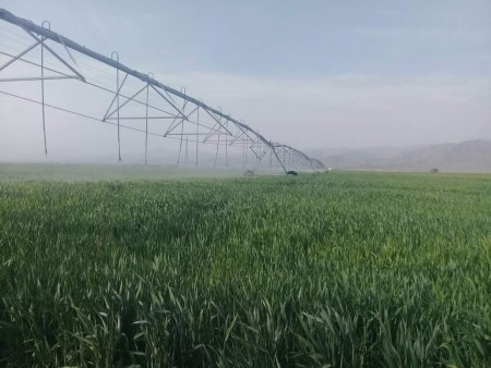 تیپ و نوار ابیاری