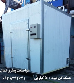 Fruit and vegetable dryer