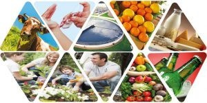 Disinfection of the Food-Food Industry Apple (15%acetic acid)